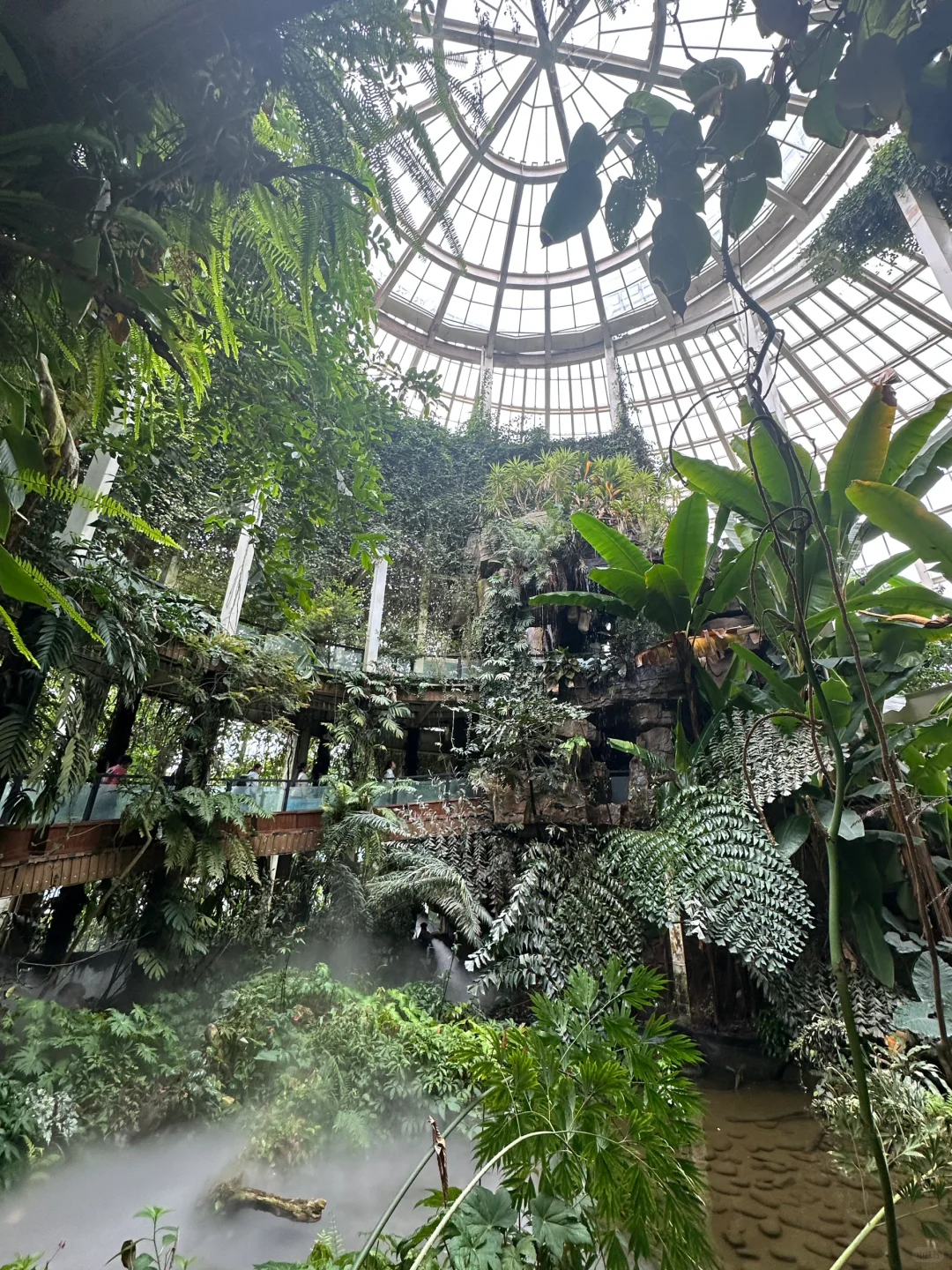 昆明到底谁爱去啊（我！附小众三日游攻略）