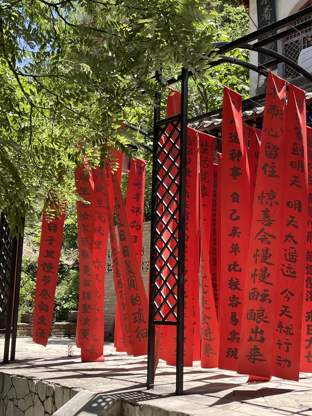 不是！来之前也没人给我说这么好玩啊！