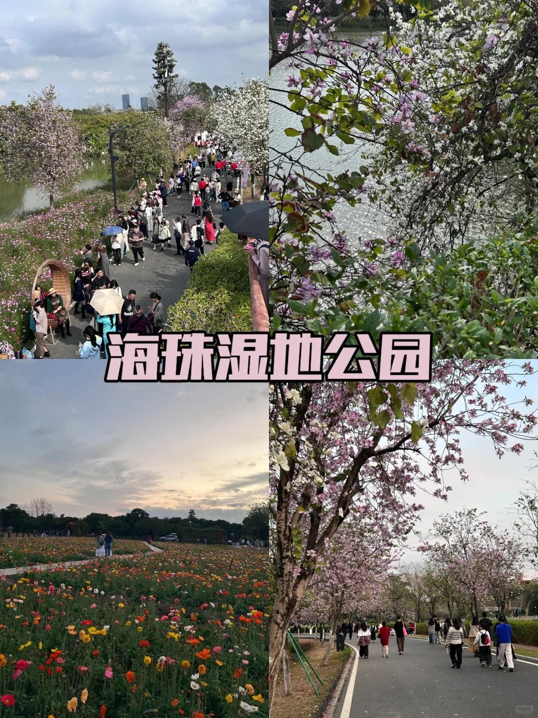 海珠区这8个打卡景点❗ 没去过等于白来❗