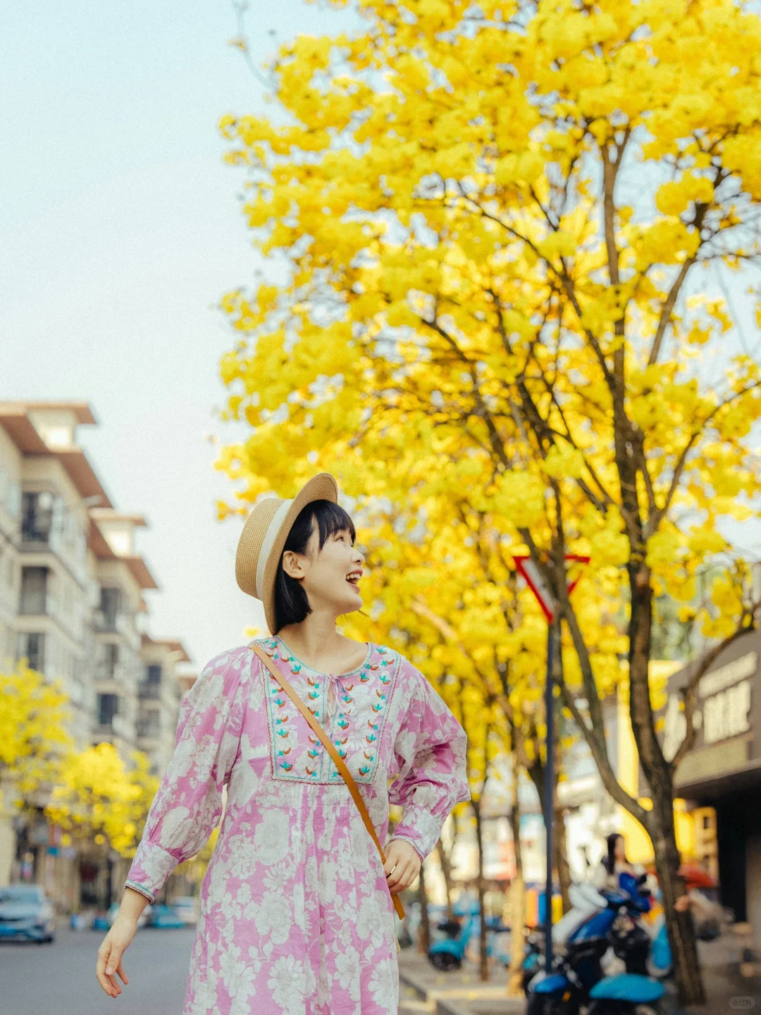 为了这1️⃣8️⃣张图，我专门飞了一趟云南芒市