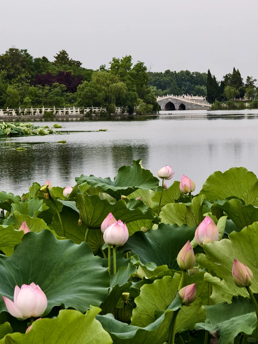 暑期淮南旅游攻略|九大必打卡景点（附讲解