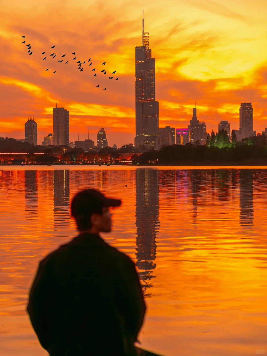 为了这1️⃣8️⃣张图，我特意去了一趟南京🍂