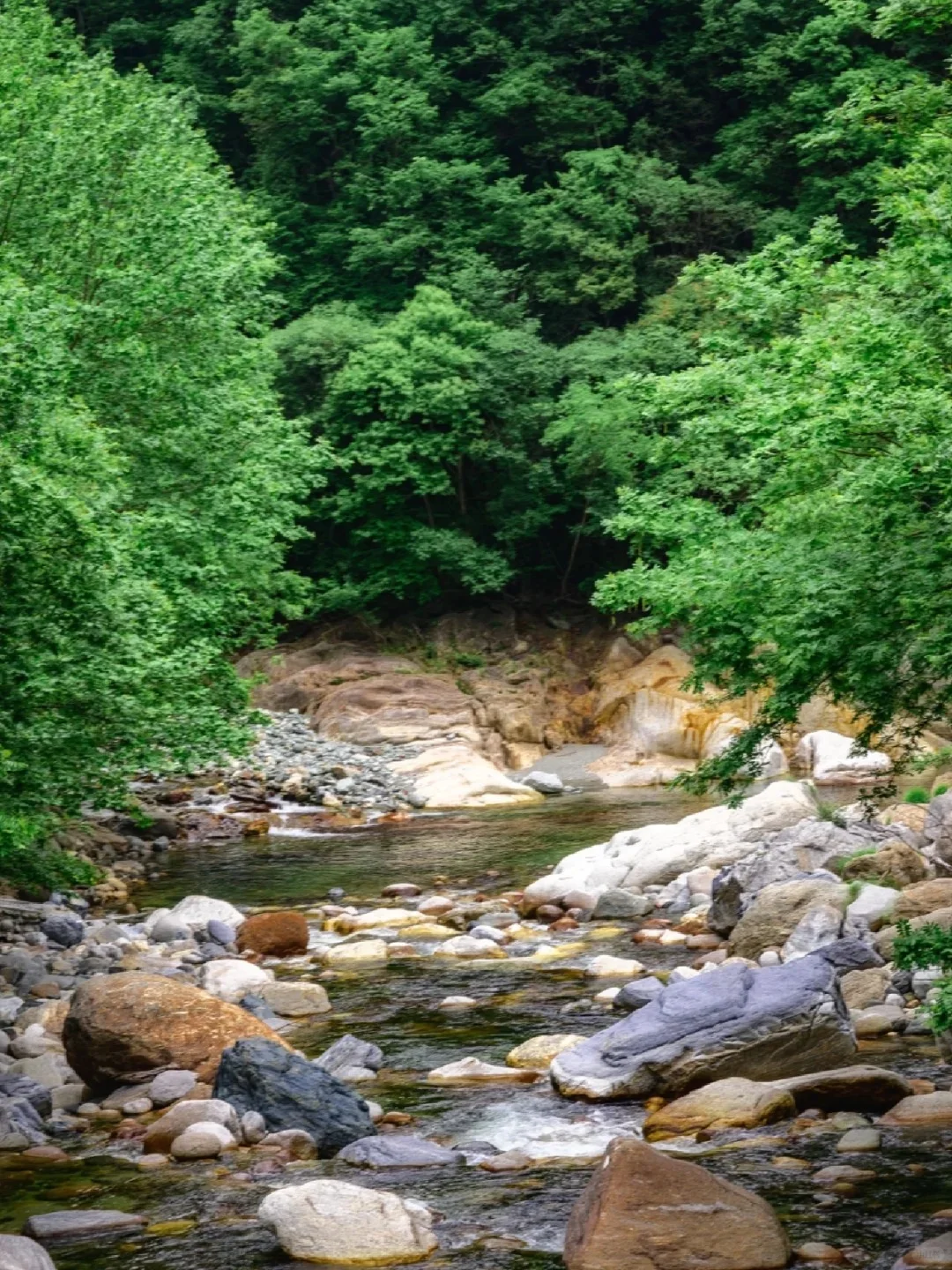 ✨广元9个必打卡景点！