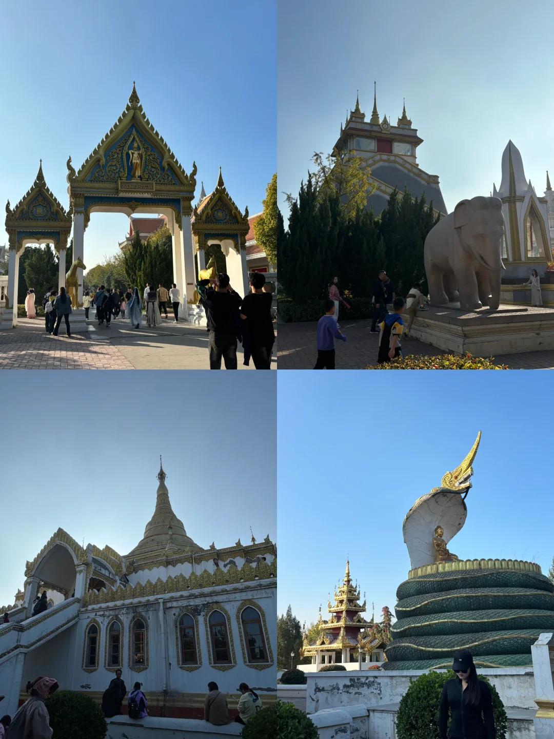 洛阳｜两天一夜✌️两人共花费1198💰