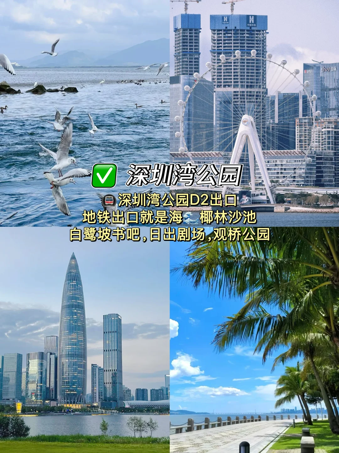 深圳citywalk✅必打卡的10大景点🔥