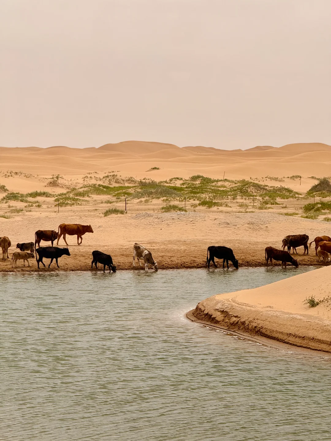 看到了『上帝打翻的调色盘』🎨居然是在内蒙古