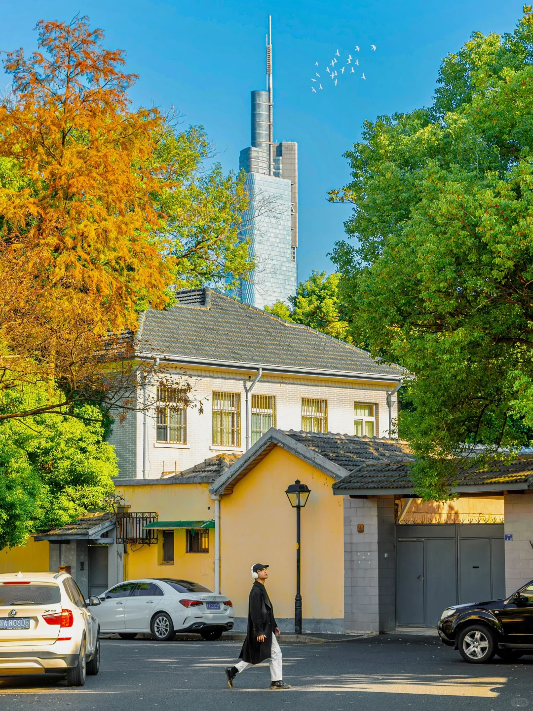 为了这1️⃣8️⃣张图，我特意去了一趟南京🍂