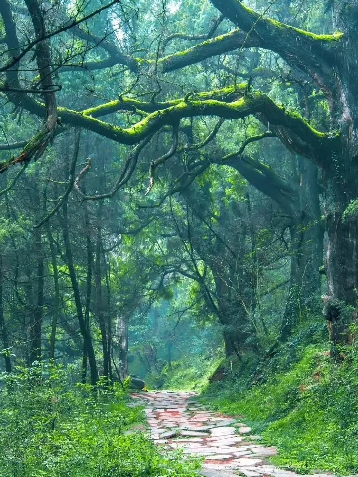 ✨广元9个必打卡景点！