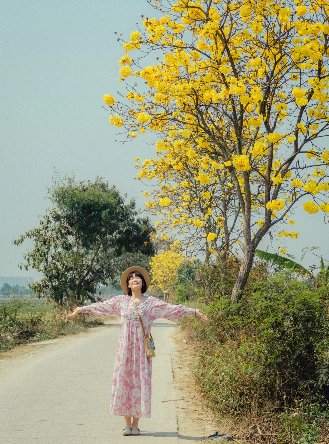 为了这1️⃣8️⃣张图，我专门飞了一趟云南芒市