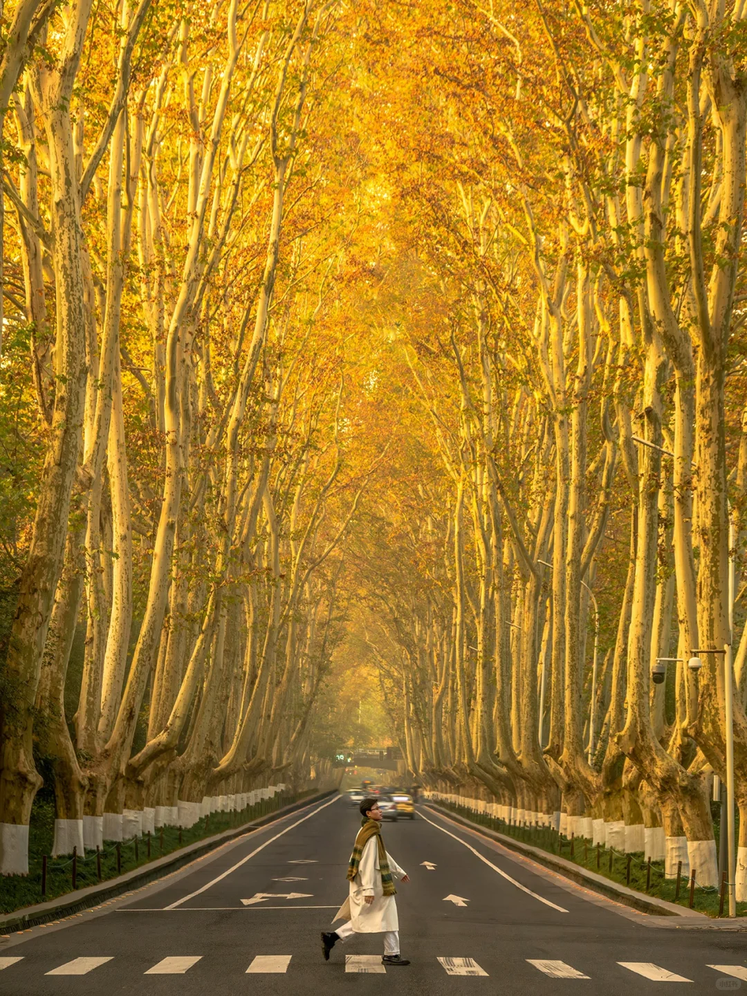 为了这1️⃣8️⃣张图，我特意去了一趟南京🍂