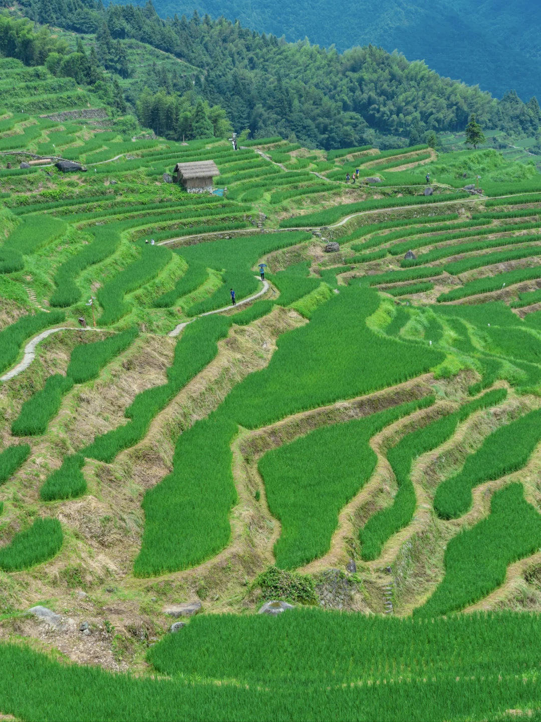 国内最适合穷游的7个城市