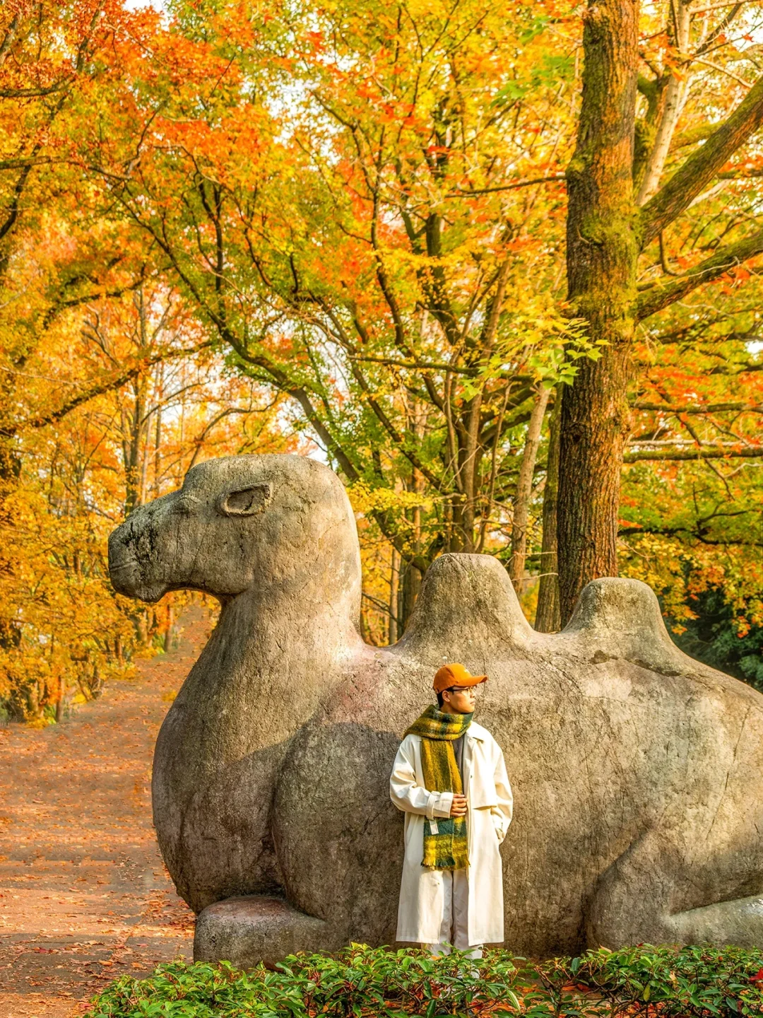 为了这1️⃣8️⃣张图，我特意去了一趟南京🍂