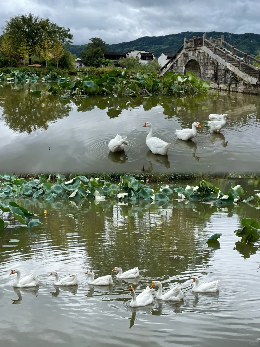 3天2夜｜黄山-宏村-西递 旅游Plog❗️绝对值得