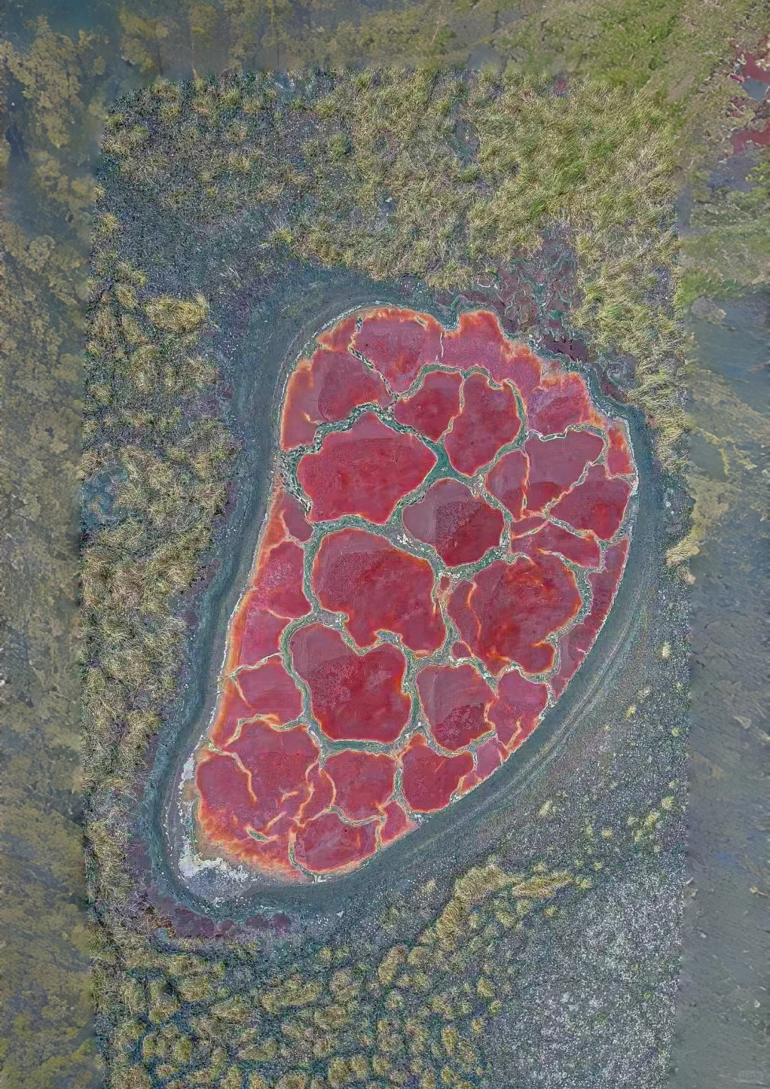 看到了『上帝打翻的调色盘』🎨居然是在内蒙古