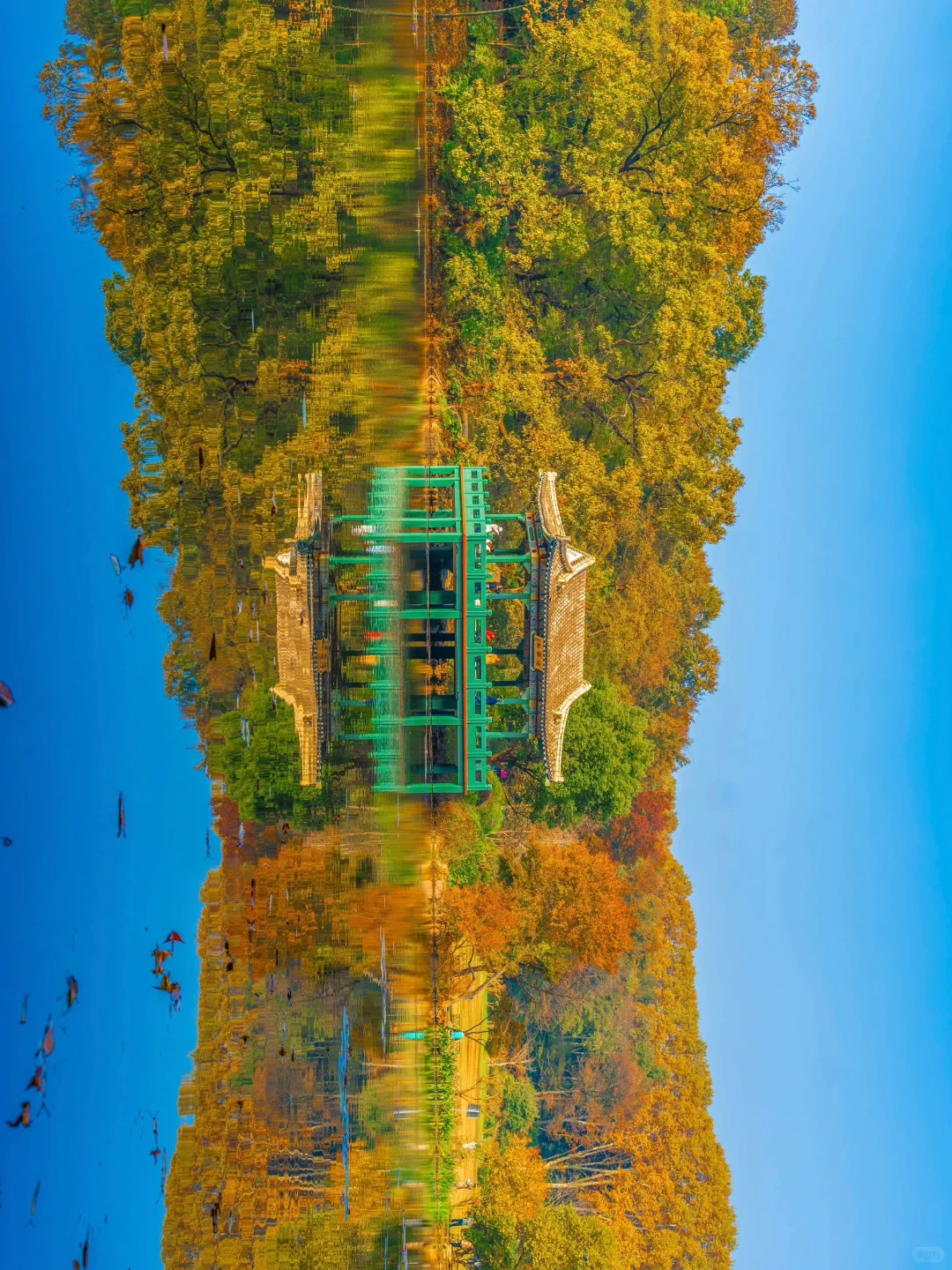 为了这1️⃣8️⃣张图，我特意去了一趟南京🍂