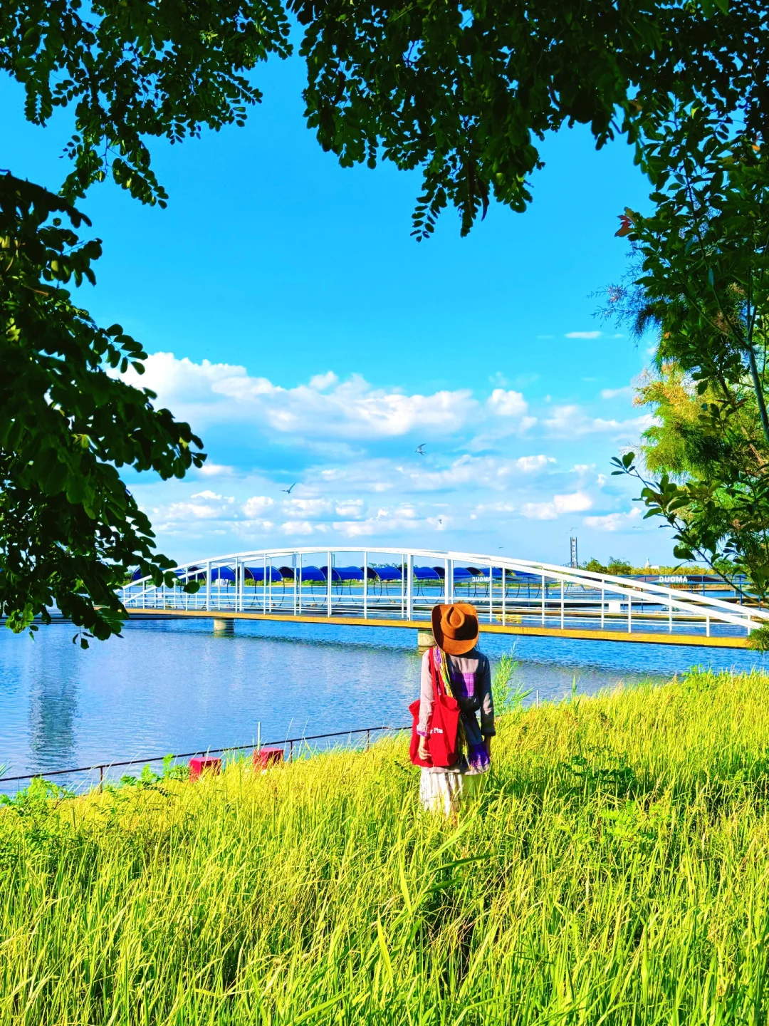 真没出国！今年去过最舒服的海边小城🏖️live