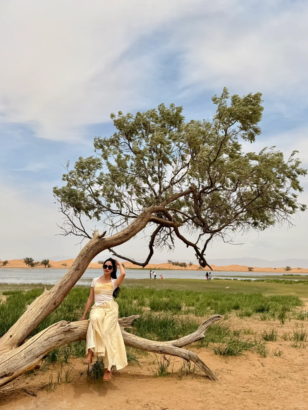 看到了『上帝打翻的调色盘』🎨居然是在内蒙古