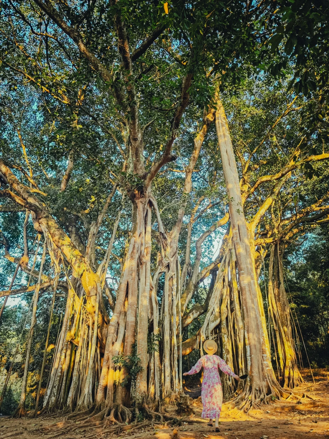 为了这1️⃣8️⃣张图，我专门飞了一趟云南芒市