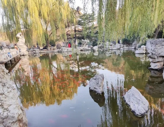 邯郸土著私藏一日游 | 市中心walk不绕路攻