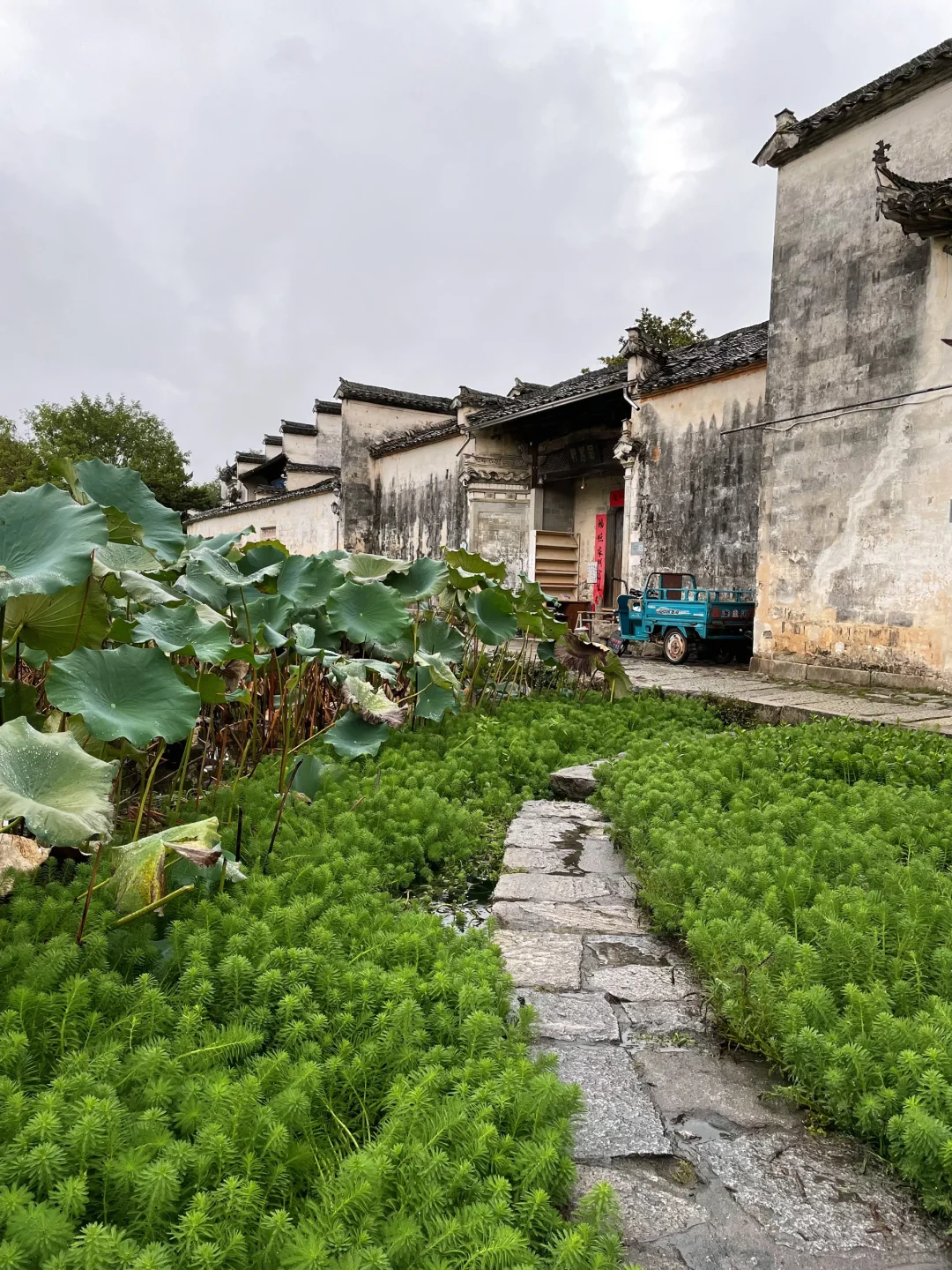 3天2夜｜黄山-宏村-西递 旅游Plog❗️绝对值得
