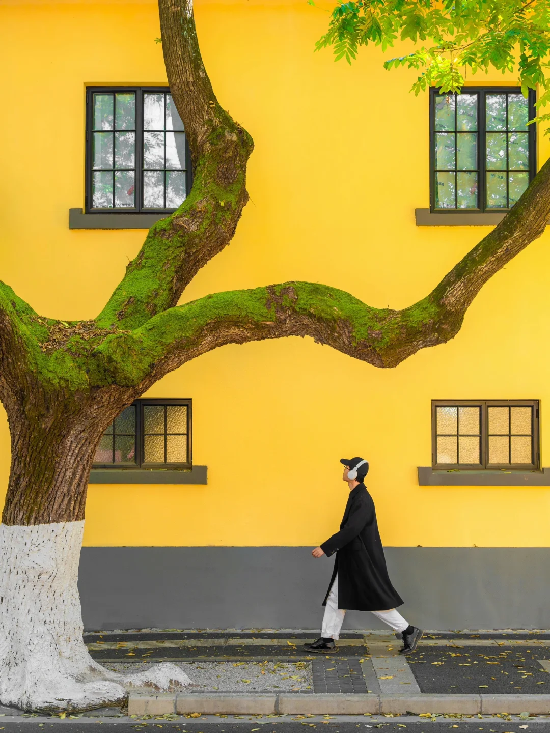 为了这1️⃣8️⃣张图，我特意去了一趟南京🍂