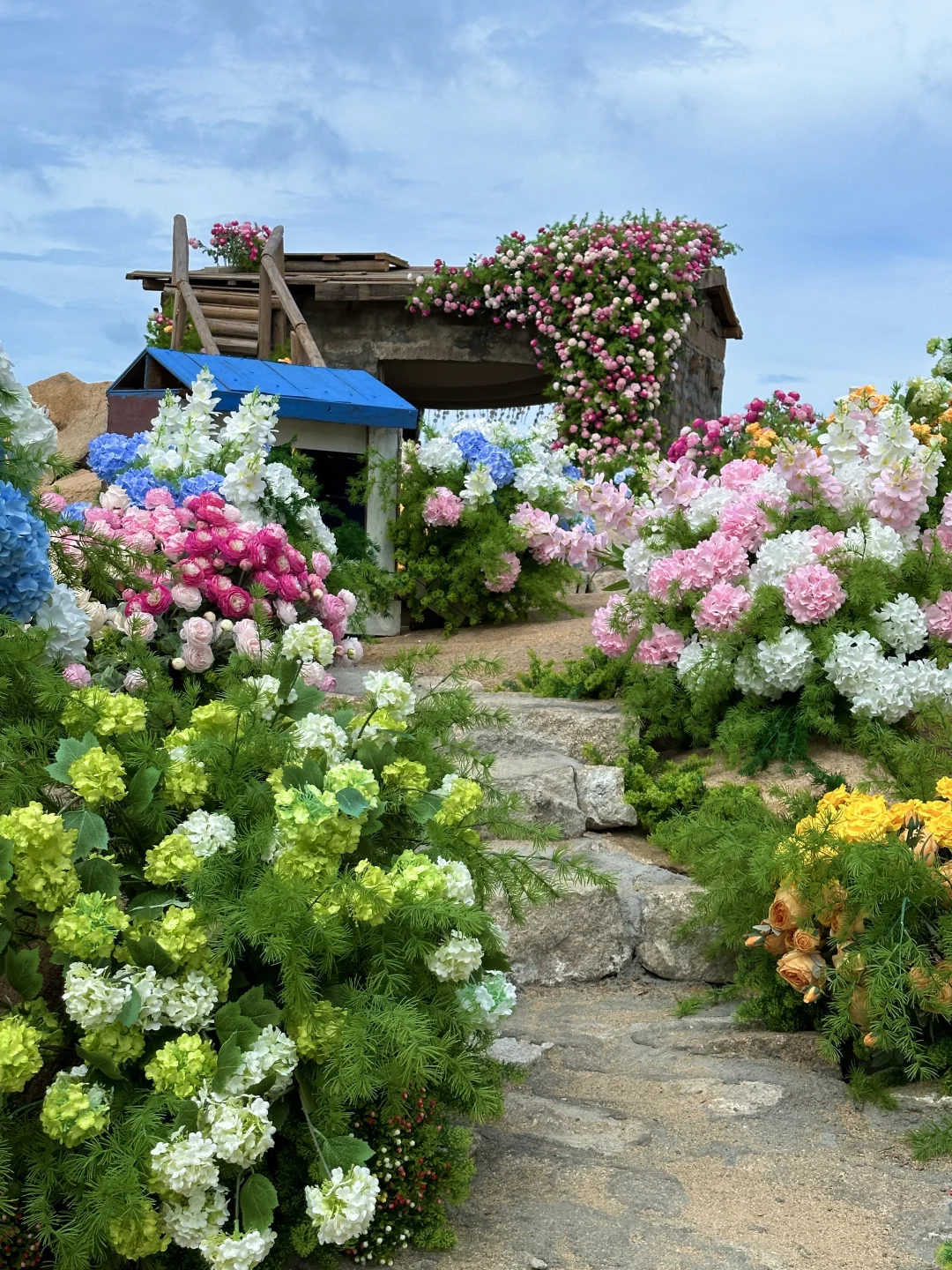 平潭小众景点……海边莫奈花园💐美哭了（live