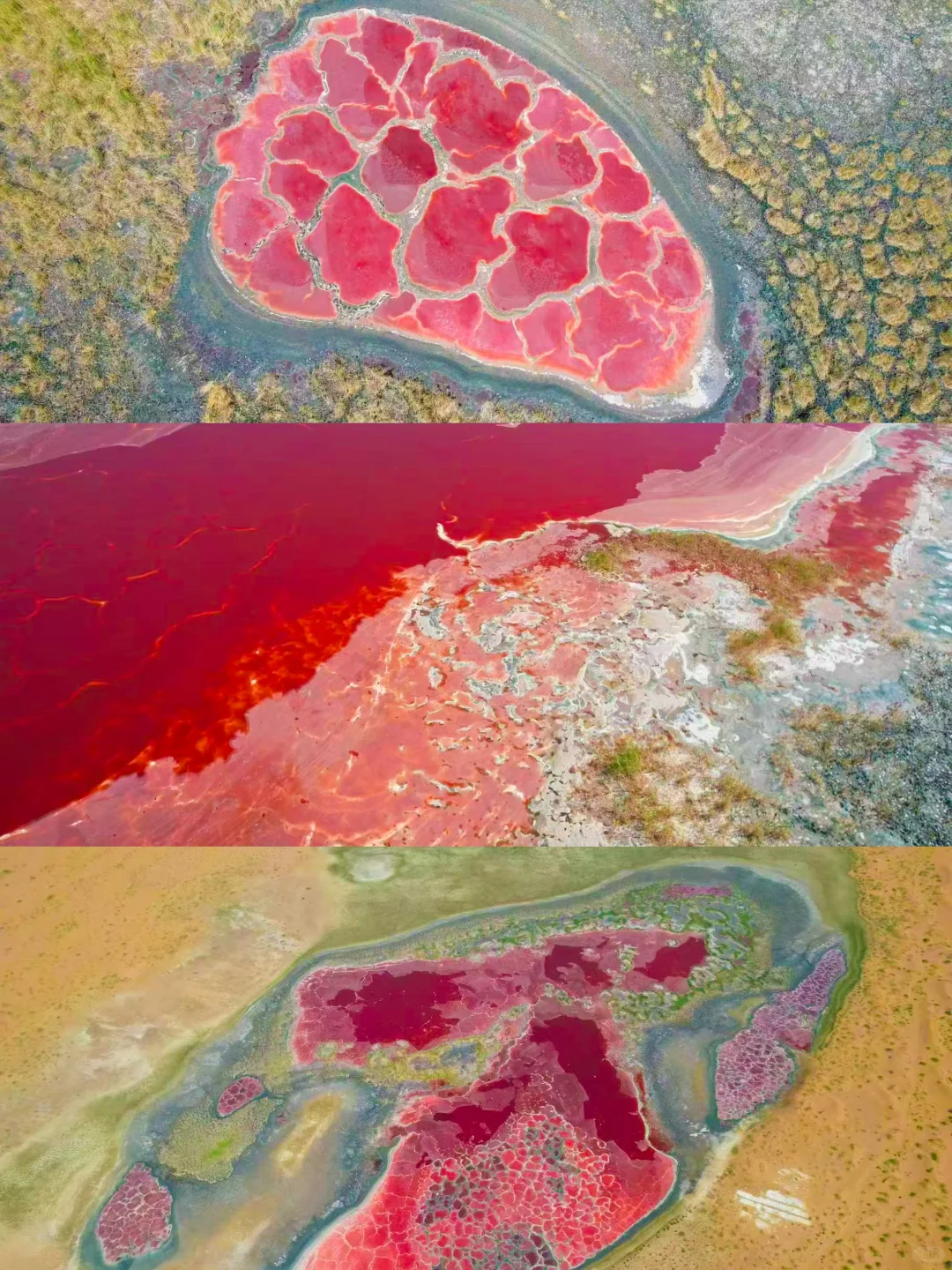 看到了『上帝打翻的调色盘』🎨居然是在内蒙古