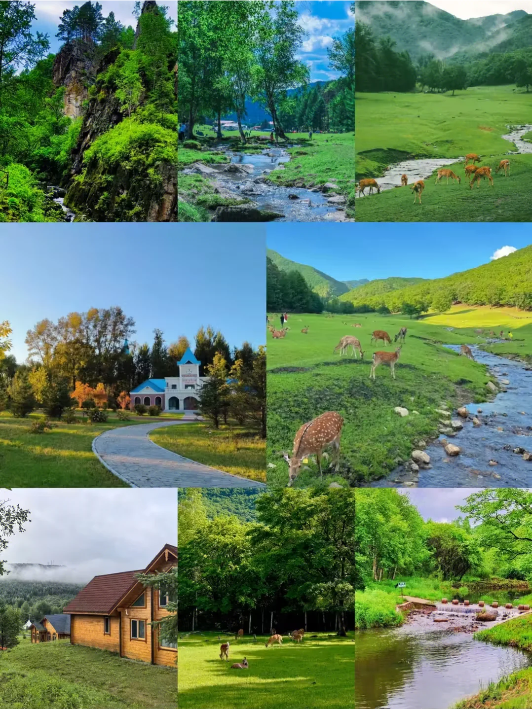 不是瑞士去不起，而是伊春更有性价比