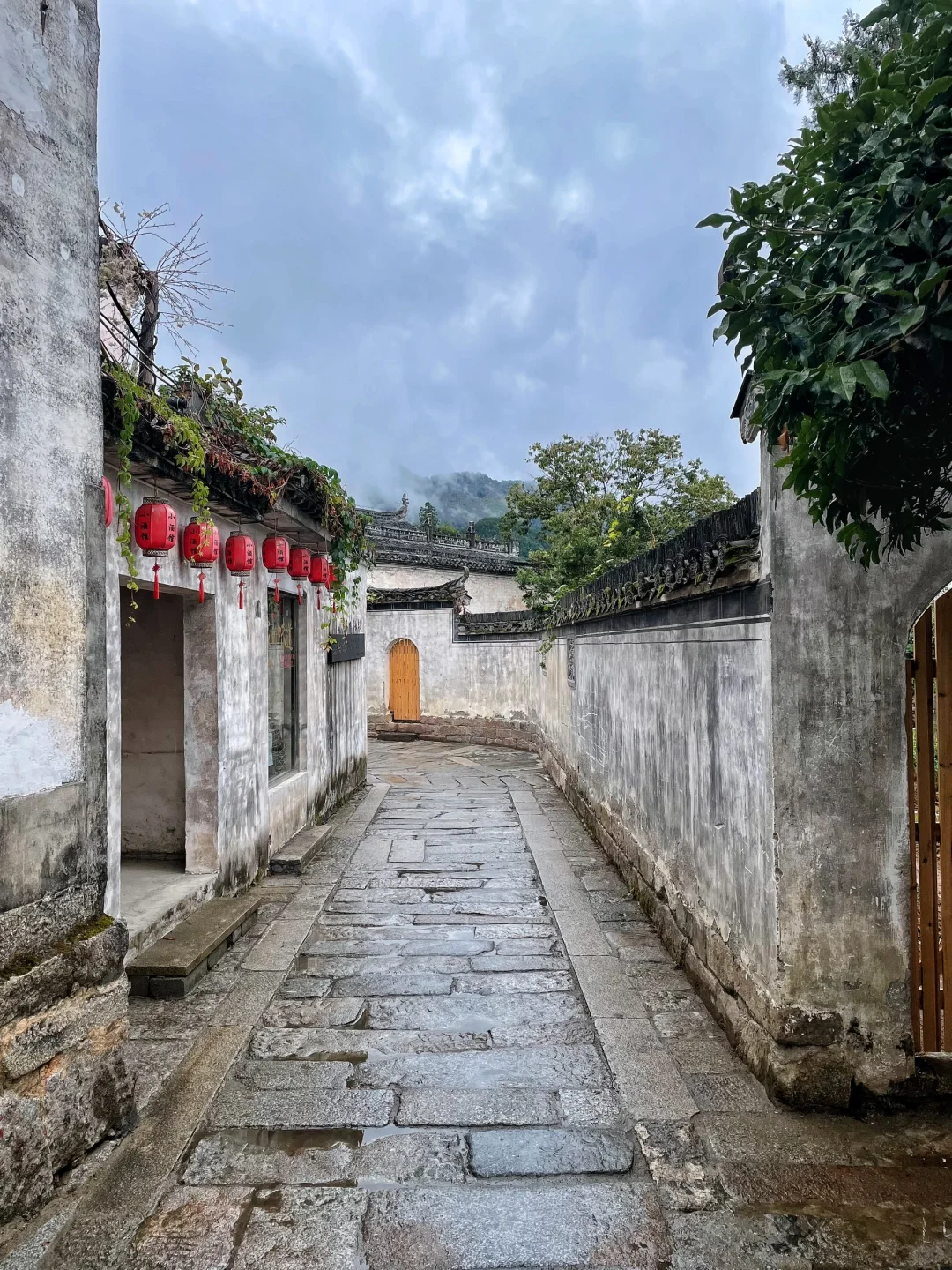 3天2夜｜黄山-宏村-西递 旅游Plog❗️绝对值得