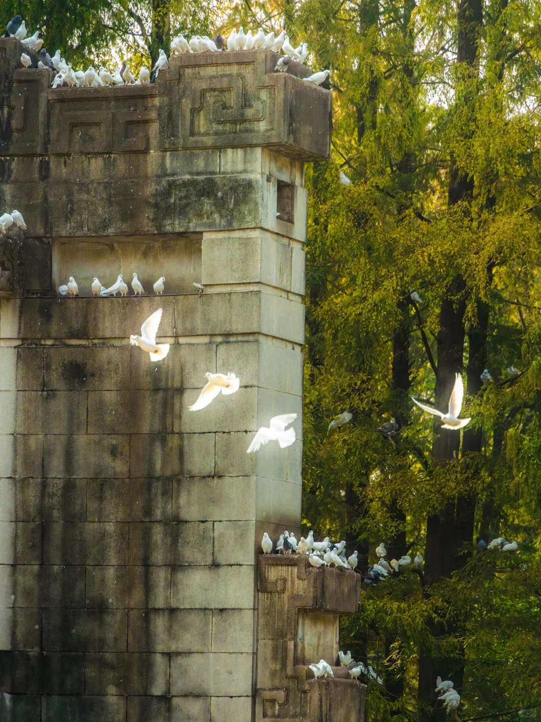 为了这1️⃣8️⃣张图，我特意去了一趟南京🍂