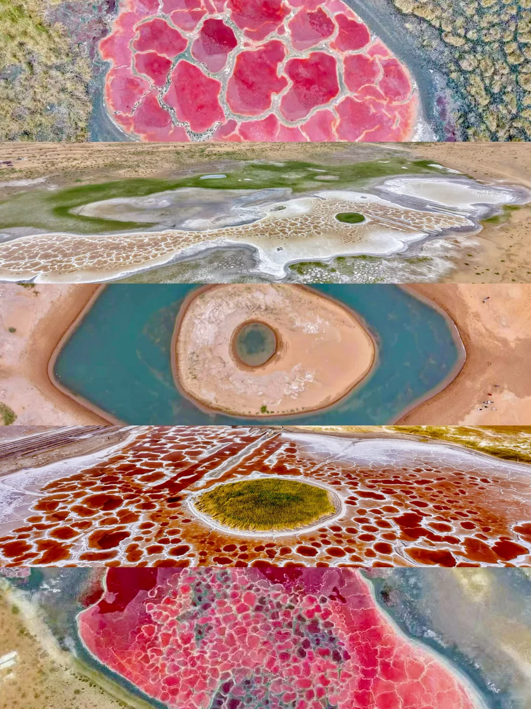 看到了『上帝打翻的调色盘』🎨居然是在内蒙古