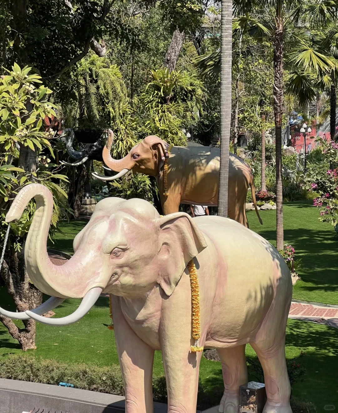 #小众旅行地 #泰国 #曼谷 #曼谷旅行 #曼谷