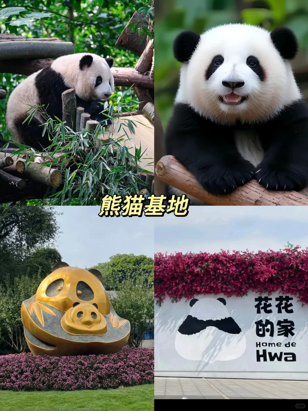 成都必去9⃣️大宝藏景点❗旅游前必看！！