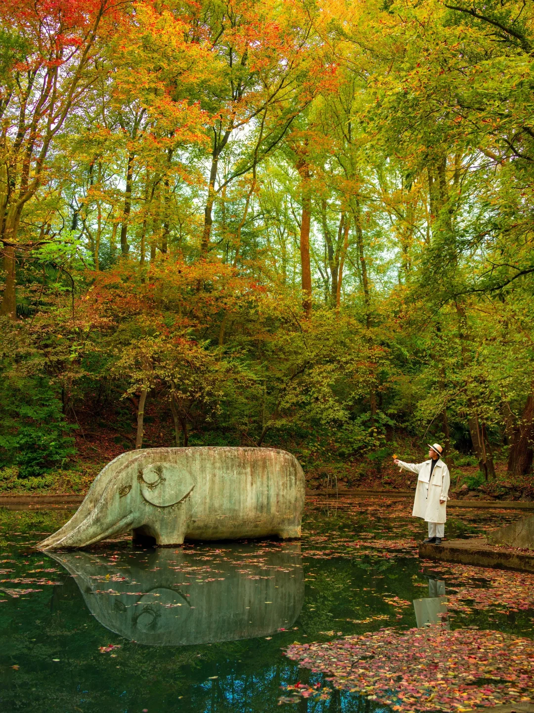 为了这1️⃣8️⃣张图，我特意去了一趟南京🍂