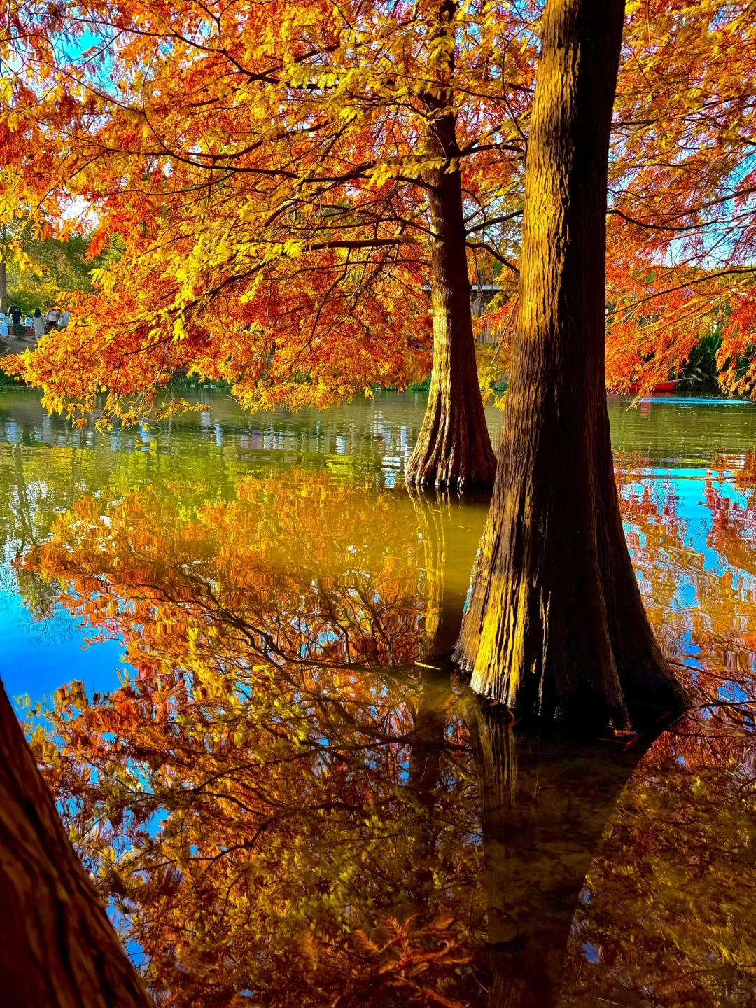 为了这1️⃣8️⃣张图，我特意去了一趟南京🍂