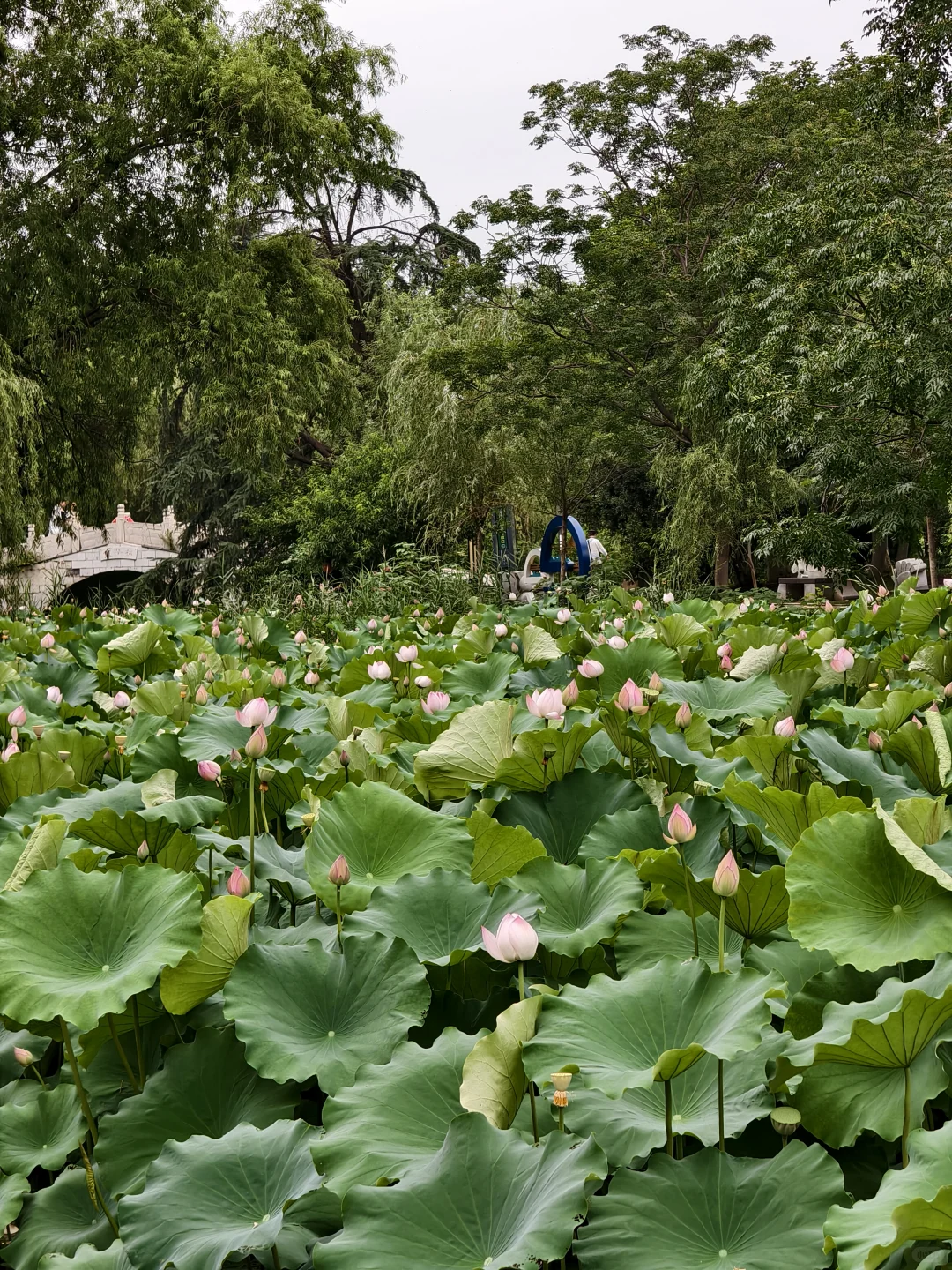 暑期淮南旅游攻略|九大必打卡景点（附讲解