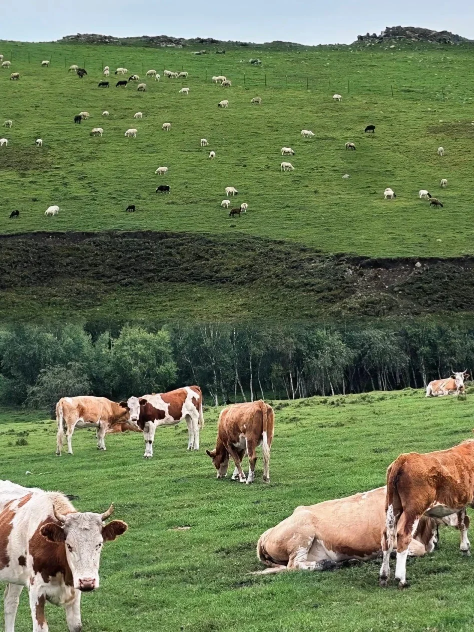 🌄赤峰必打卡九大大宝藏景点攻略！