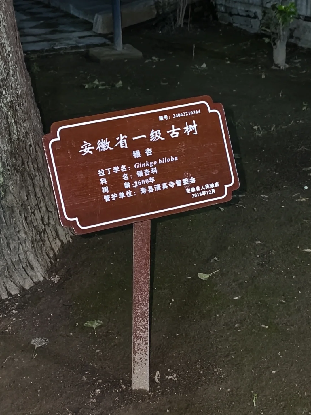 暑期淮南旅游攻略|九大必打卡景点（附讲解