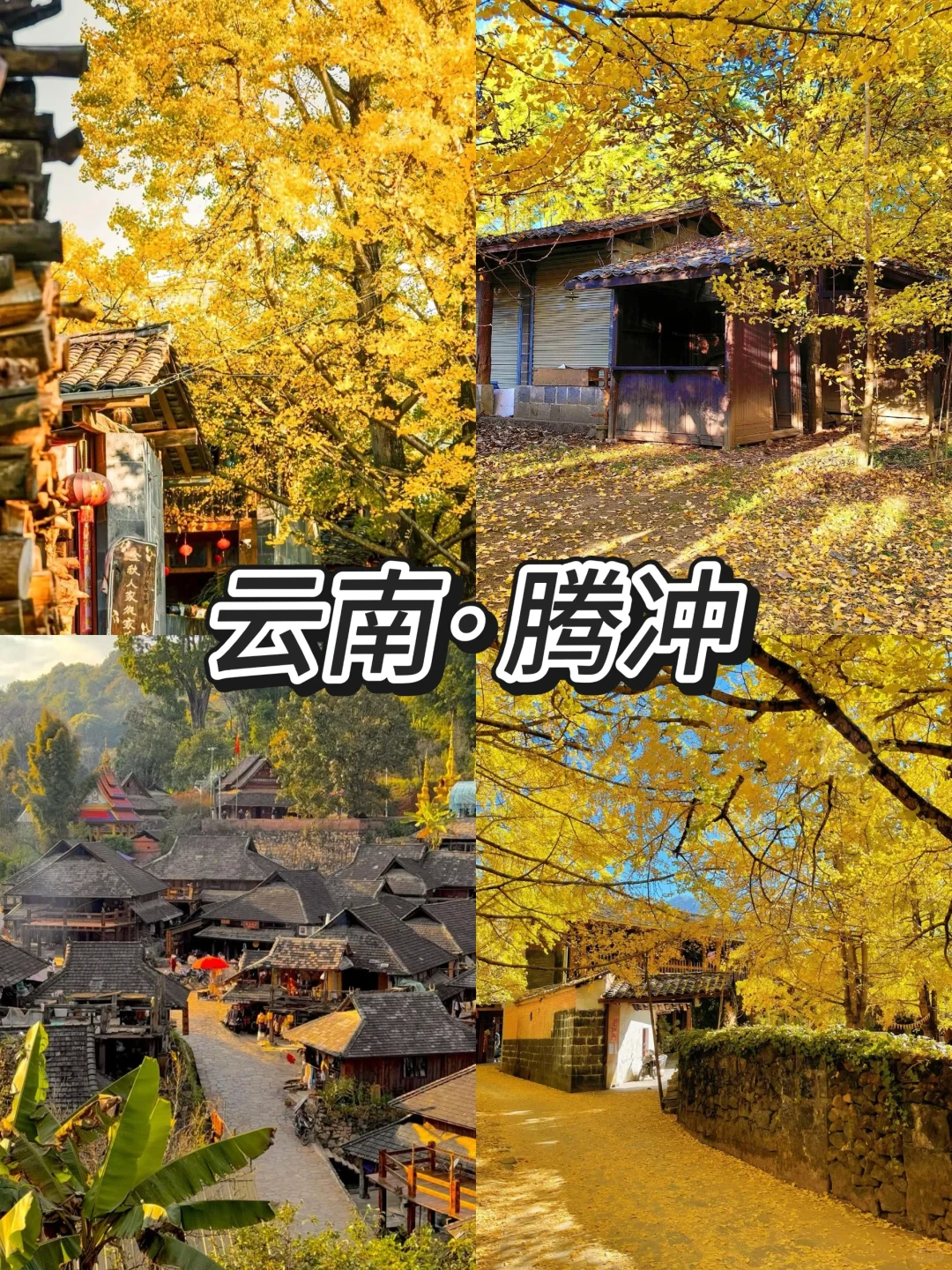 2025，❤️‍🩹一个人散心必去的4个神仙城市