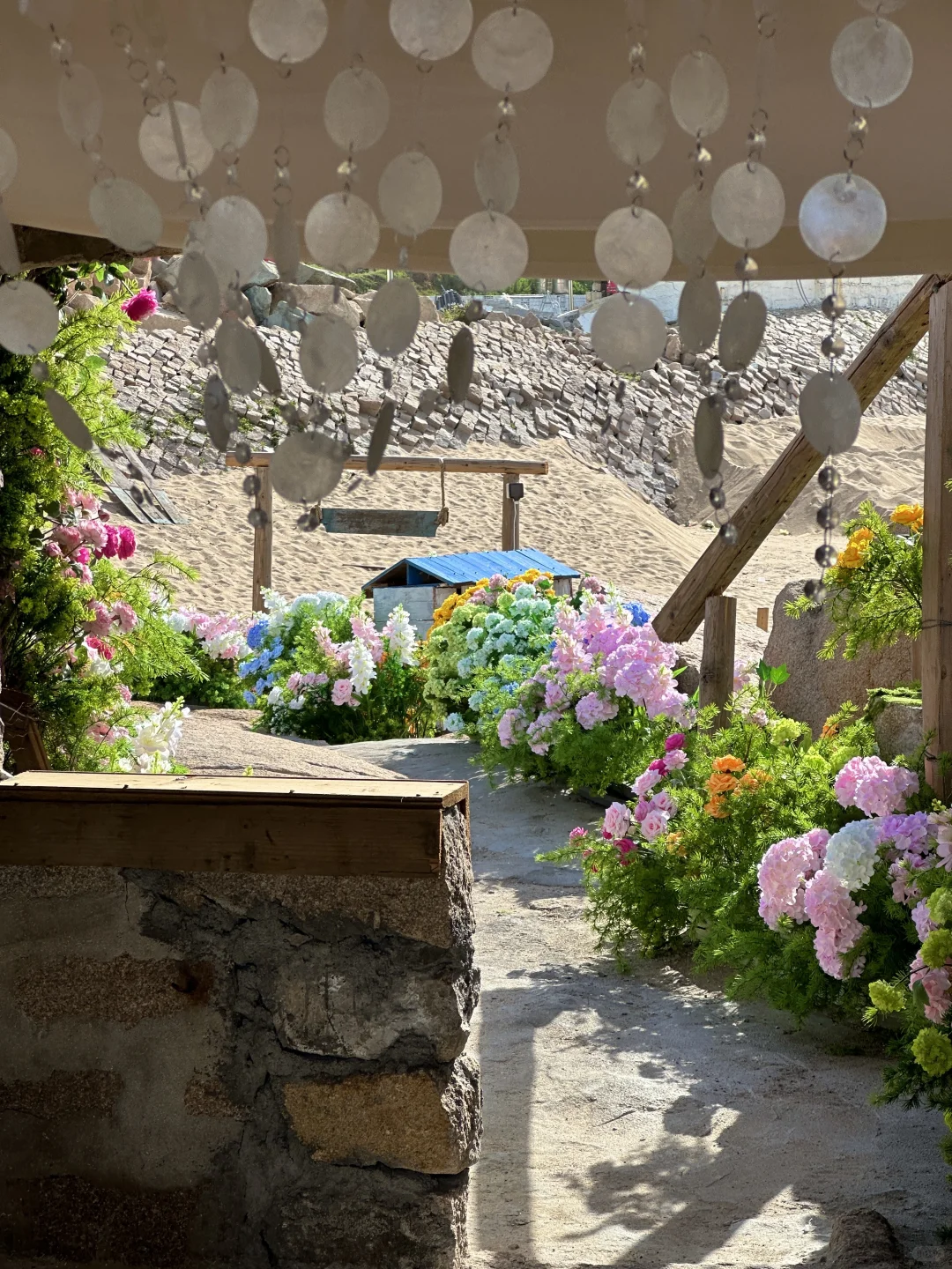 平潭小众景点……海边莫奈花园💐美哭了（live