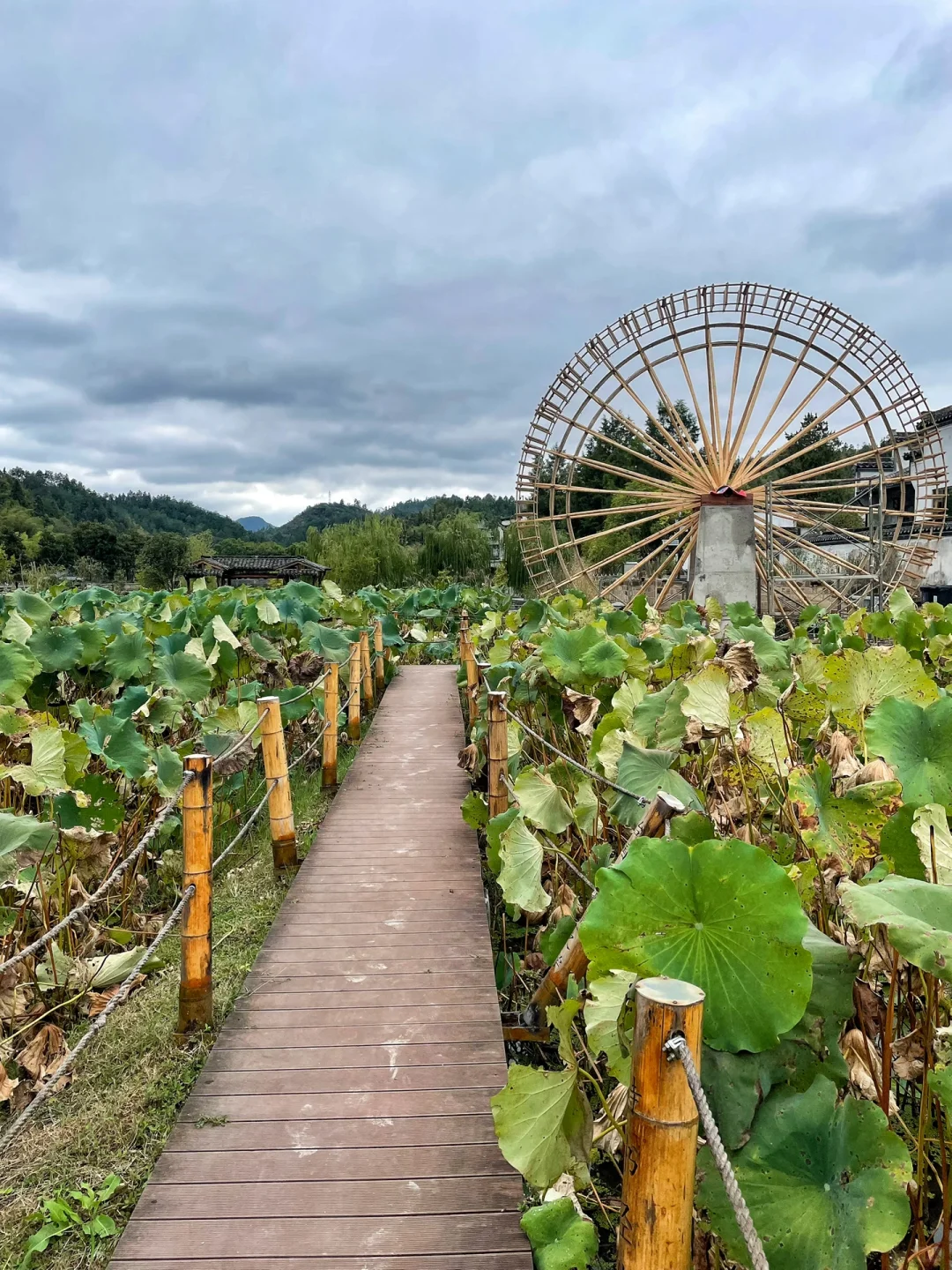 3天2夜｜黄山-宏村-西递 旅游Plog❗️绝对值得