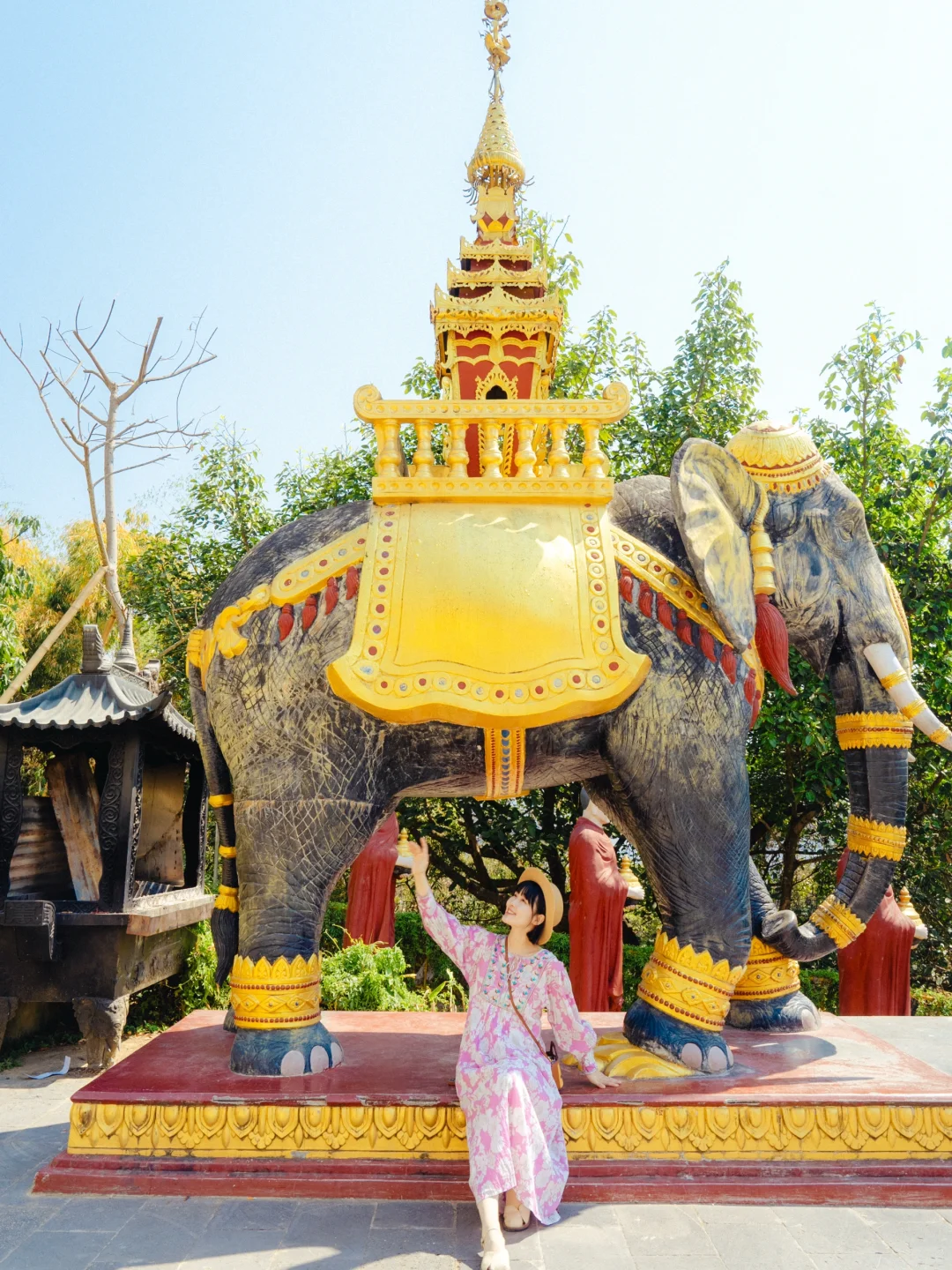 为了这1️⃣8️⃣张图，我专门飞了一趟云南芒市