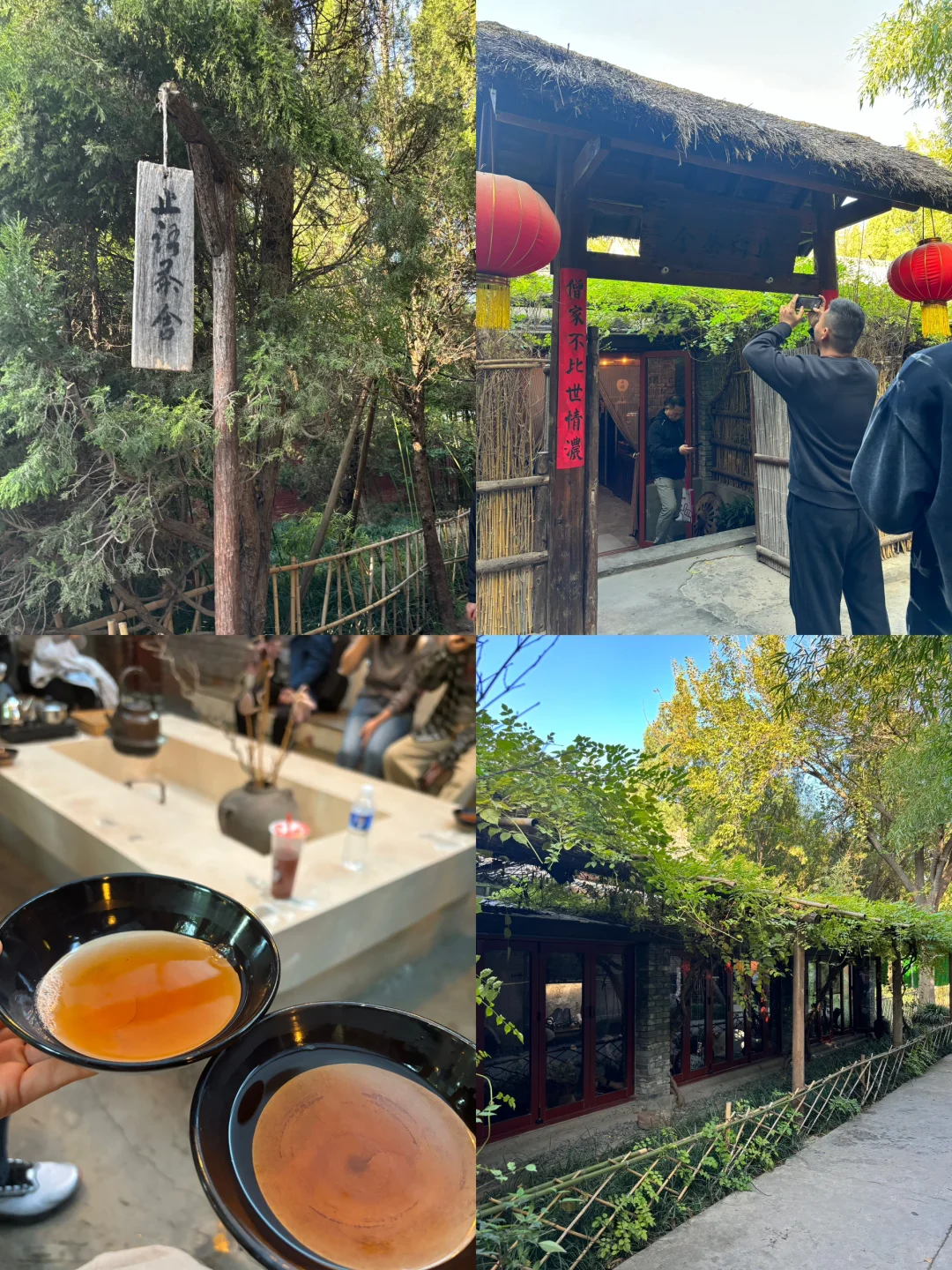 洛阳｜两天一夜✌️两人共花费1198💰