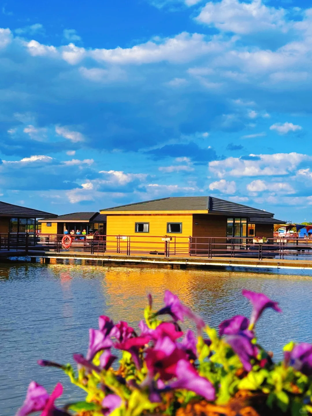 真没出国！今年去过最舒服的海边小城🏖️live