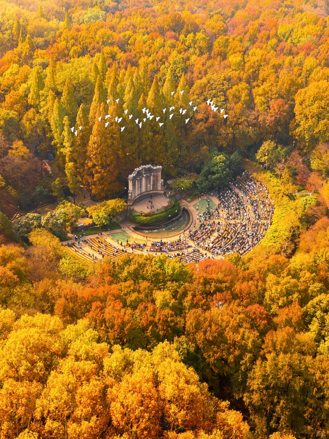 为了这1️⃣8️⃣张图，我特意去了一趟南京🍂