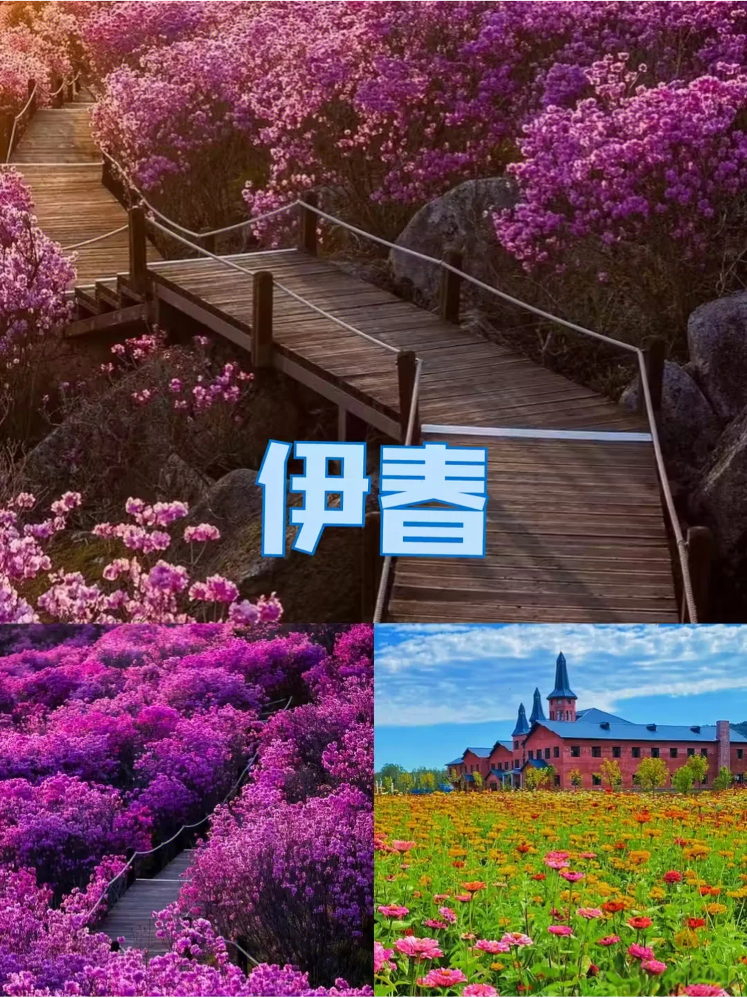 不是瑞士去不起，而是伊春更有性价比