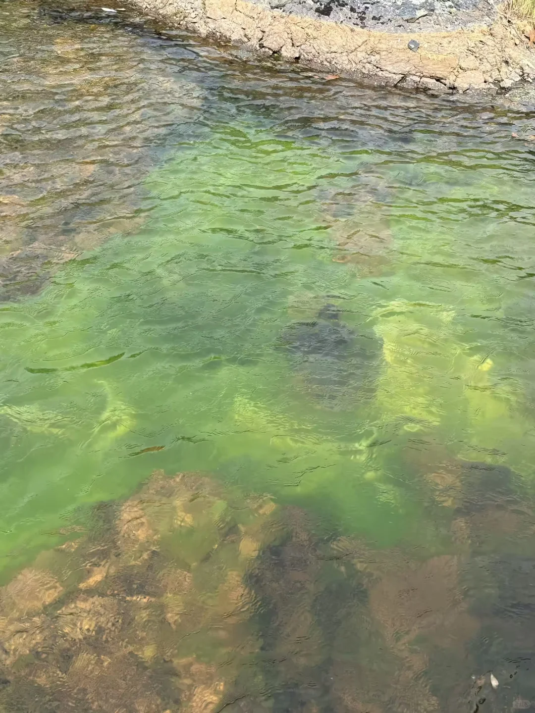 不是瑞士去不起，而是伊春更有性价比