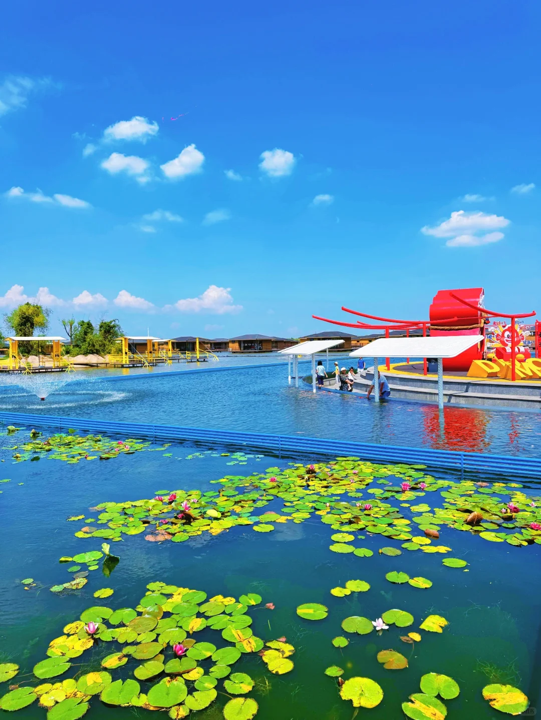 真没出国！今年去过最舒服的海边小城🏖️live