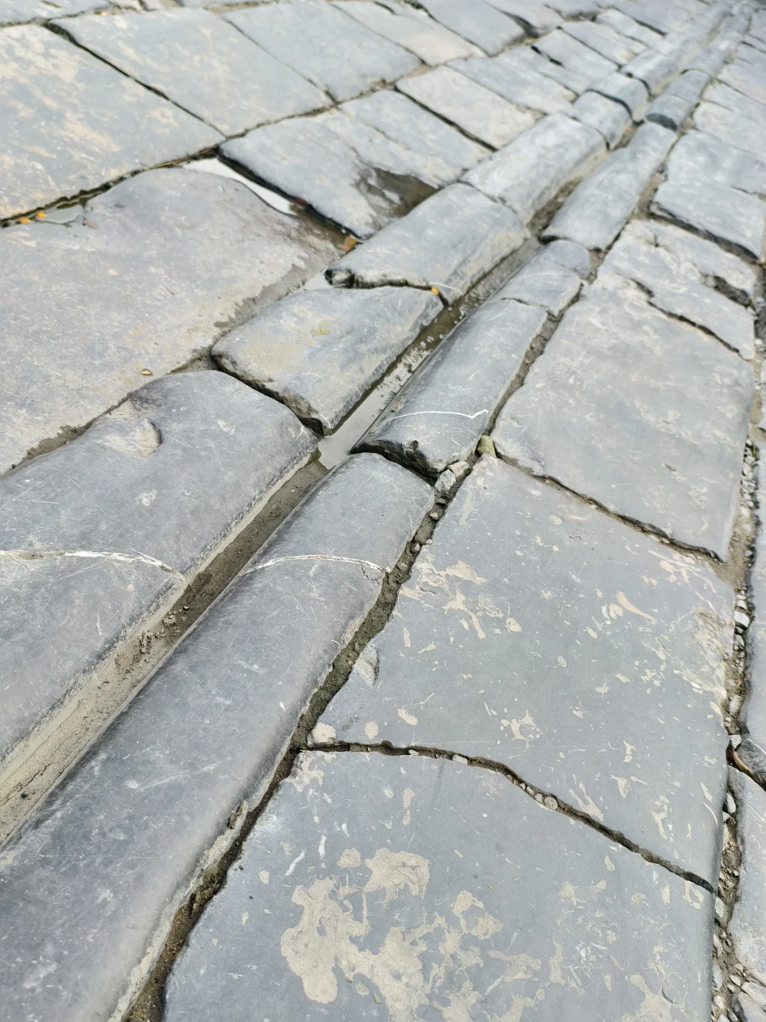 暑期淮南旅游攻略|九大必打卡景点（附讲解