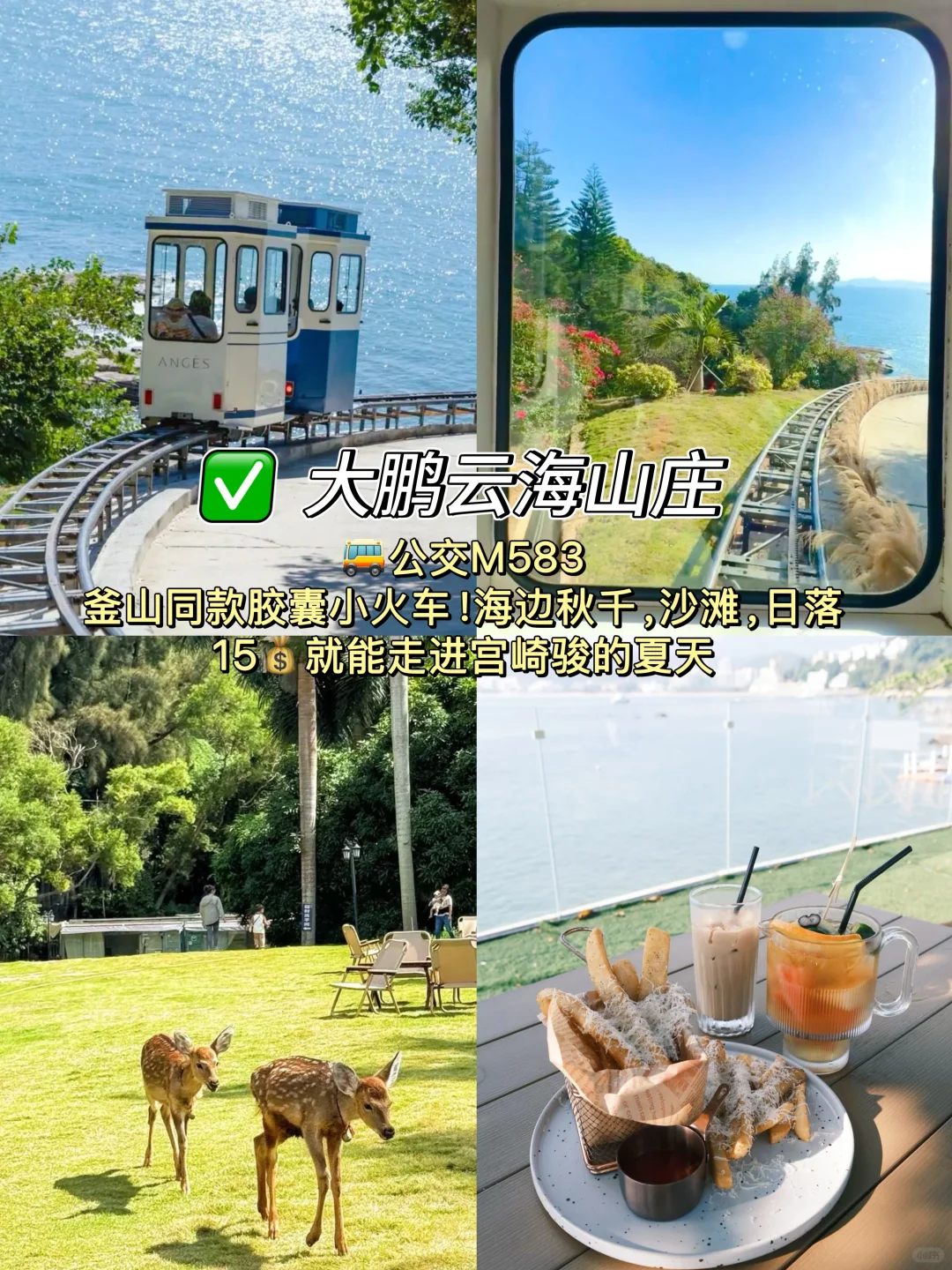 深圳citywalk✅必打卡的10大景点🔥